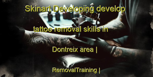 Skinart Developing develop tattoo removal skills in Dontreix area | RemovalTraining | RemovalClasses | SkinartTraining-France
